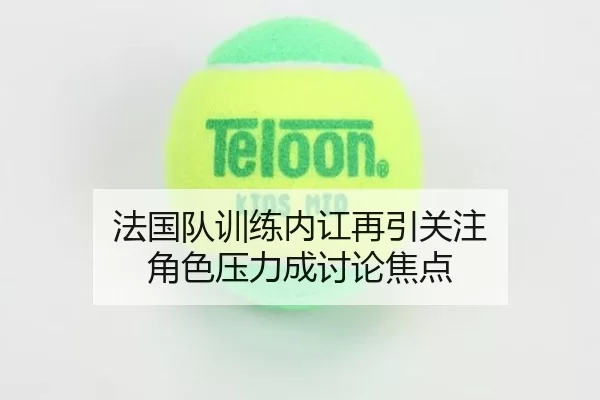 法国队训练内讧再引关注 角色压力成讨论焦点